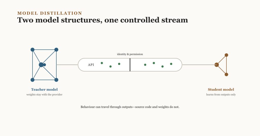 Two abstract model node-clusters, a denser teacher model and a sparser student model, connected by a rounded API channel with an identity-and-permission gate mark and small output dots flowing across it