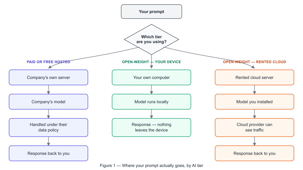 Flowchart: your prompt reaches a “which tier?” decision. Paid or free hosted routes through the company’s own server, then the company’s model, then their data policy, before a response comes back. Open-weight on your device stays entirely on your own computer, running the model locally, with nothing leaving the device. Open-weight on a rented cloud goes through a rented server and the model you installed, with the cloud provider able to see the traffic, before a response comes back.